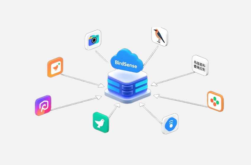 BirdSense云端API
